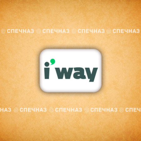Печенье брендированное "iway"