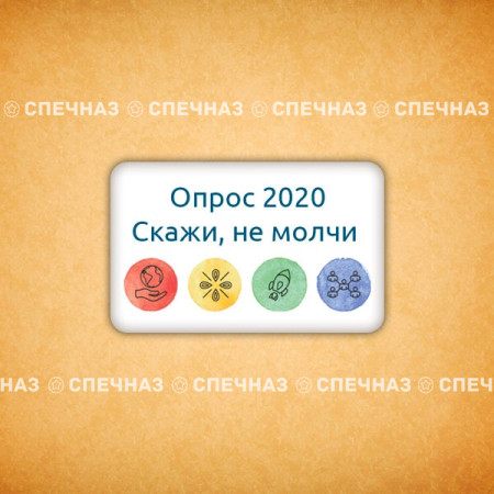 Печенье брендированное "Опрос 2020" 1