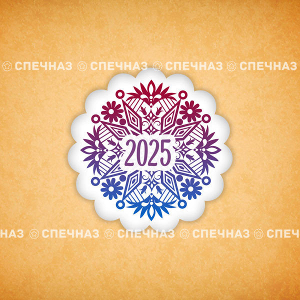 Печенье индивидуальное &quot;Снежинка-2025&quot; 6 