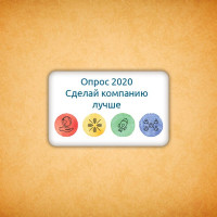 Печенье брендированное "Опрос 2020" 2
