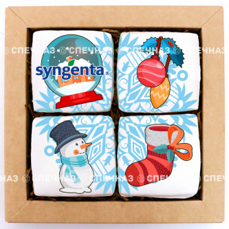 Набор брендированный SYNGENTA  средний2