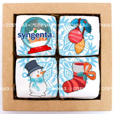 Набор брендированный SYNGENTA  средний2