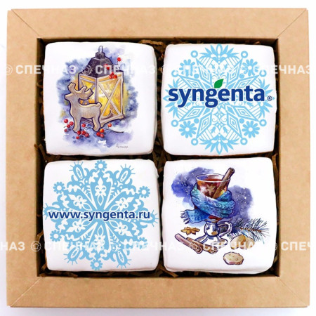Набор брендированный SYNGENTA  средний2