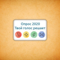 Печенье брендированное "Опрос 2020" 3
