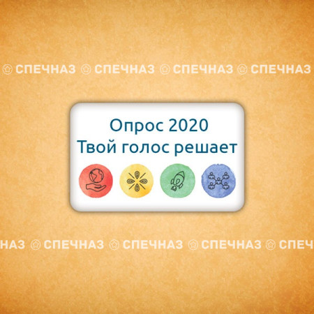 Печенье брендированное "Опрос 2020" 3