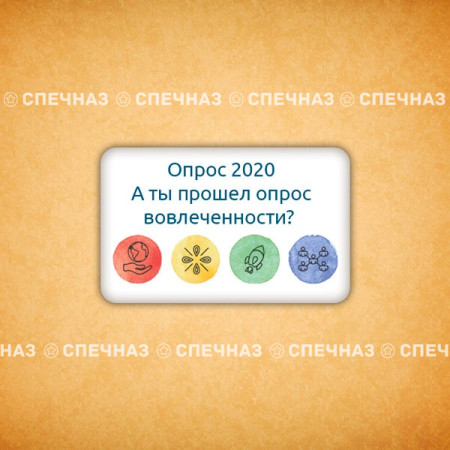 Печенье брендированное "Опрос 2020" 4