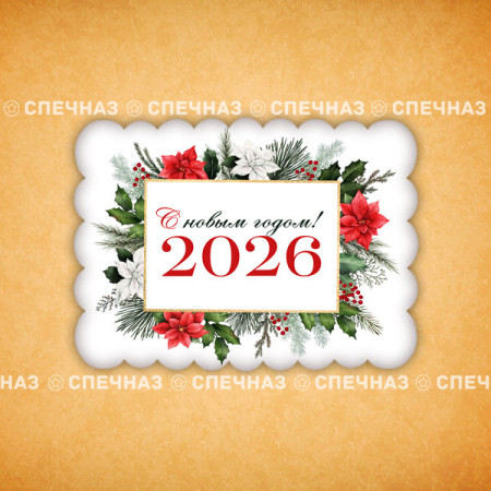 Печенье индивидуальное "Пряник новогодний 2026" 2