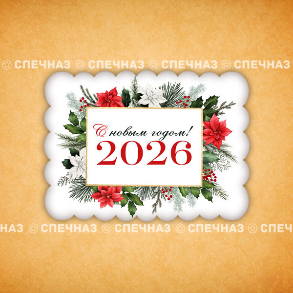 Печенье индивидуальное "Пряник новогодний 2026" 2