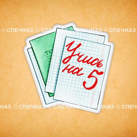 Печенье в подарок учителям и школьникам Печенье сувенирное "Учись на 5" 