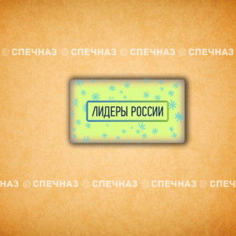 Печенье брендированное "Лидеры России"65мм 4