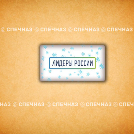 Печенье брендированное "Лидеры России"65мм 9