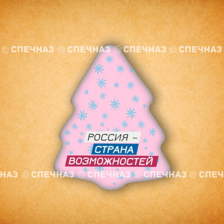 Печенье брендированное "Лидеры России"65мм 13