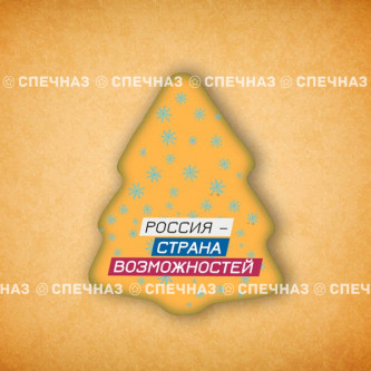 Печенье брендированное "Лидеры России"65мм 14