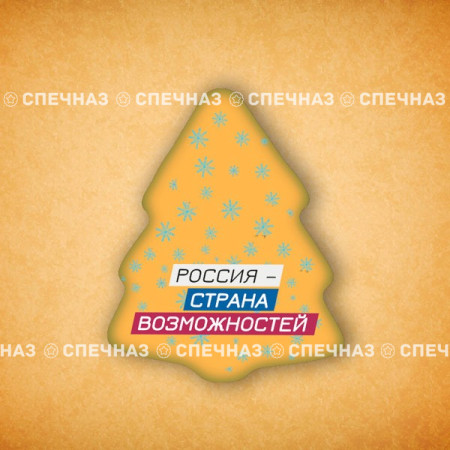 Печенье брендированное "Лидеры России"65мм 14