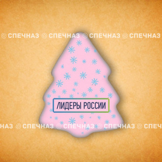 Печенье брендированное "Лидеры России"65мм 15
