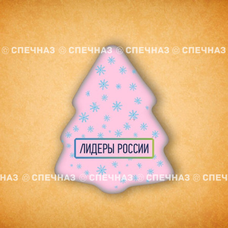 Печенье брендированное "Лидеры России"65мм 15