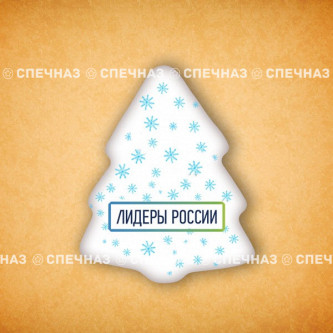 Печенье брендированное "Лидеры России"65мм 16