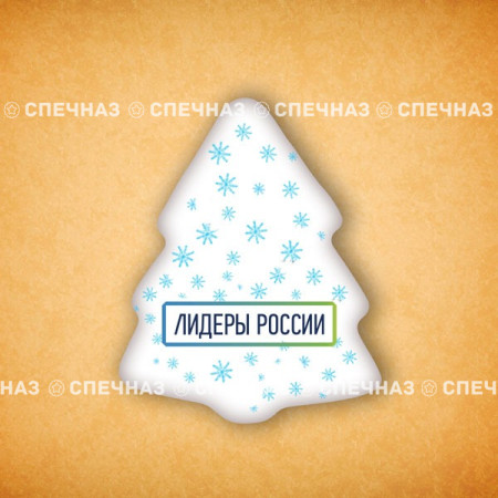 Печенье брендированное "Лидеры России"65мм 16