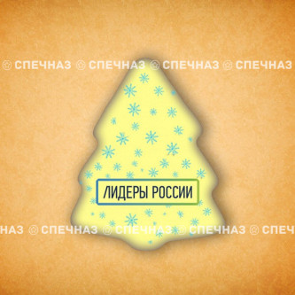 Печенье брендированное "Лидеры России"65мм 17