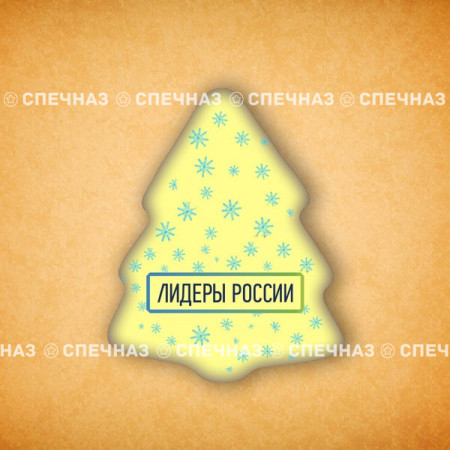 Печенье брендированное "Лидеры России"65мм 17