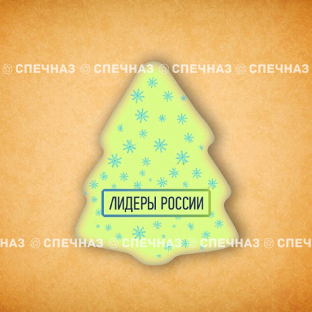 Печенье брендированное "Лидеры России"65мм 18
