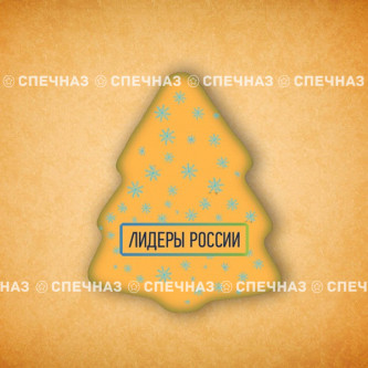 Печенье брендированное "Лидеры России"65мм 19