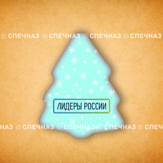 Печенье брендированное "Лидеры России"65мм 20