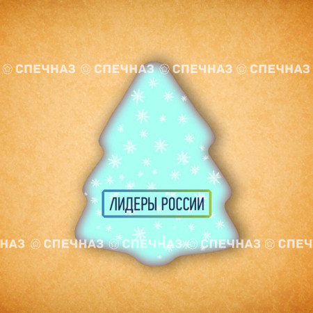 Печенье брендированное "Лидеры России"65мм 20