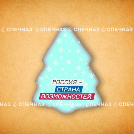 Печенье брендированное "Лидеры России"65мм 22