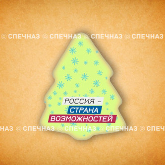 Печенье брендированное "Лидеры России"65мм 23