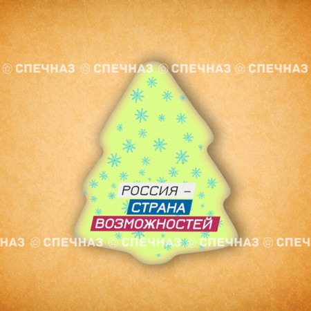 Печенье брендированное "Лидеры России"65мм 23