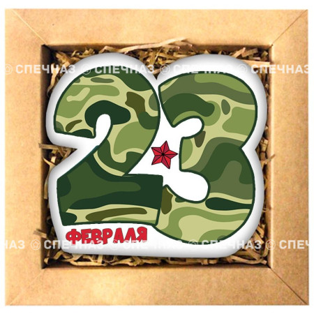Набор печенья "Двадцать третье февраля 2"