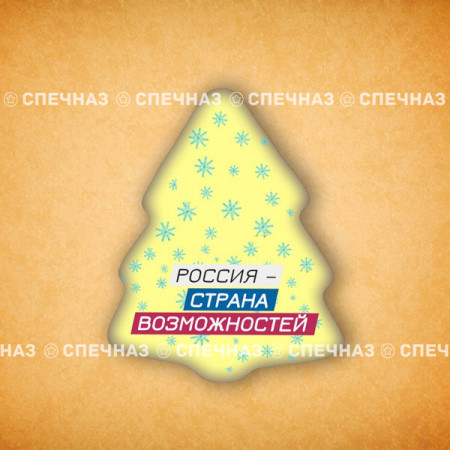 Печенье брендированное "Лидеры России"65мм 24