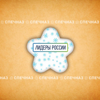 Печенье брендированное "Лидеры России"65мм 25