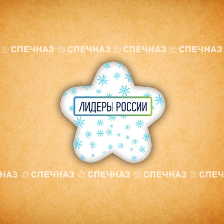 Печенье брендированное "Лидеры России"65мм 25