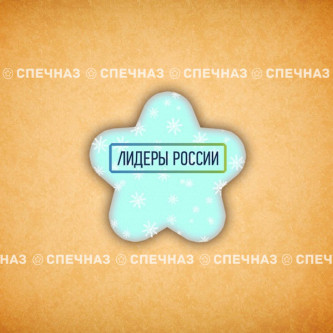 Печенье брендированное "Лидеры России"65мм 27