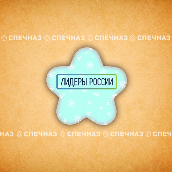 Печенье брендированное "Лидеры России"65мм 27