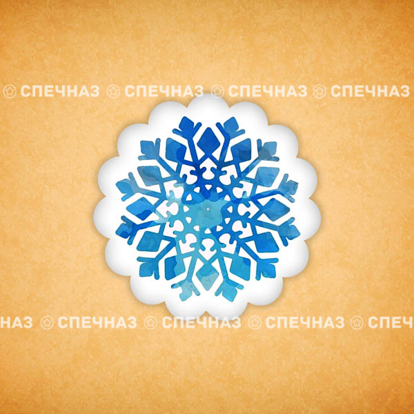 Печенье индивидуальное &quot;Снежинка&quot; 7 