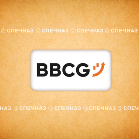 Печенье брендированное B2BCG 8*5 см 10