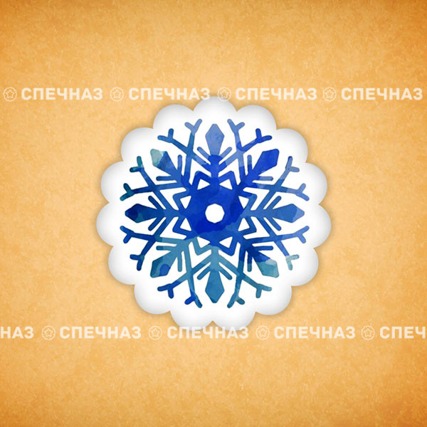 Печенье индивидуальное &quot;Снежинка&quot; 8 
