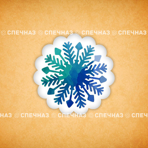 Печенье индивидуальное &quot;Снежинка&quot; 9 