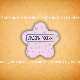 Печенье брендированное "Лидеры России"65мм 30