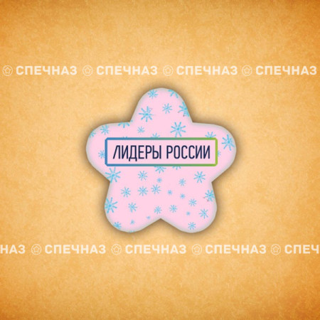 Печенье брендированное "Лидеры России"65мм 30