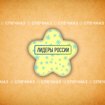 Печенье брендированное "Лидеры России"65мм 31