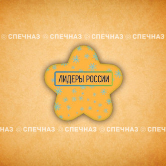 Печенье брендированное "Лидеры России"65мм 34