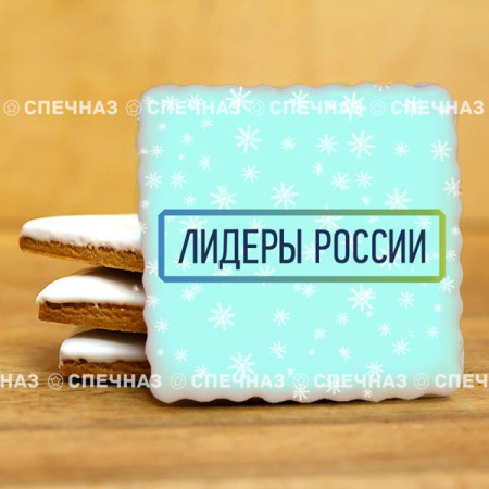 Печенье брендированное "Лидеры России"65мм 37