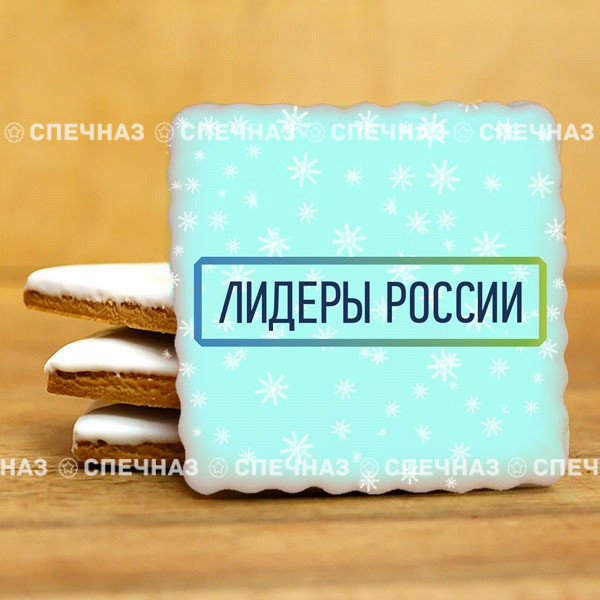 Печенье брендированное "Лидеры России"65мм 37