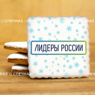 Печенье брендированное "Лидеры России"65мм 38
