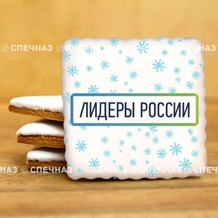 Печенье брендированное "Лидеры России"65мм 38