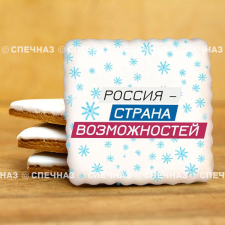 Печенье брендированное "Лидеры России"65мм 39